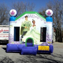 Princess and the Frog