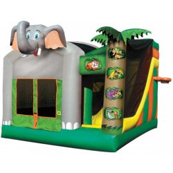 Jungle 5 in 1