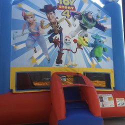 Toy Story Wet or Dry combo